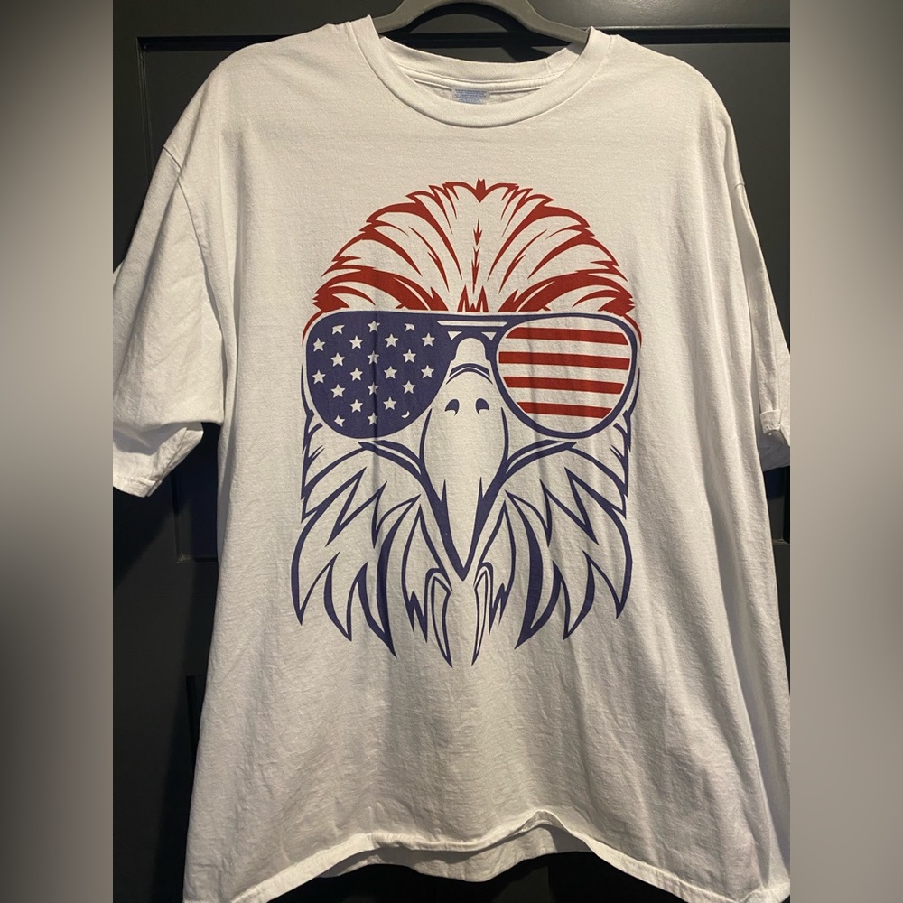 Eagle with sunglasses on pictured in American flag theme